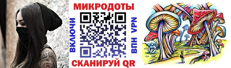 Псилоцибиновые грибы Psilocybe  Купить закладки  Домодедово 